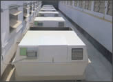 box svezzamento