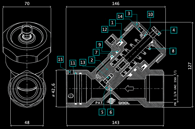 diagramma omal valvole